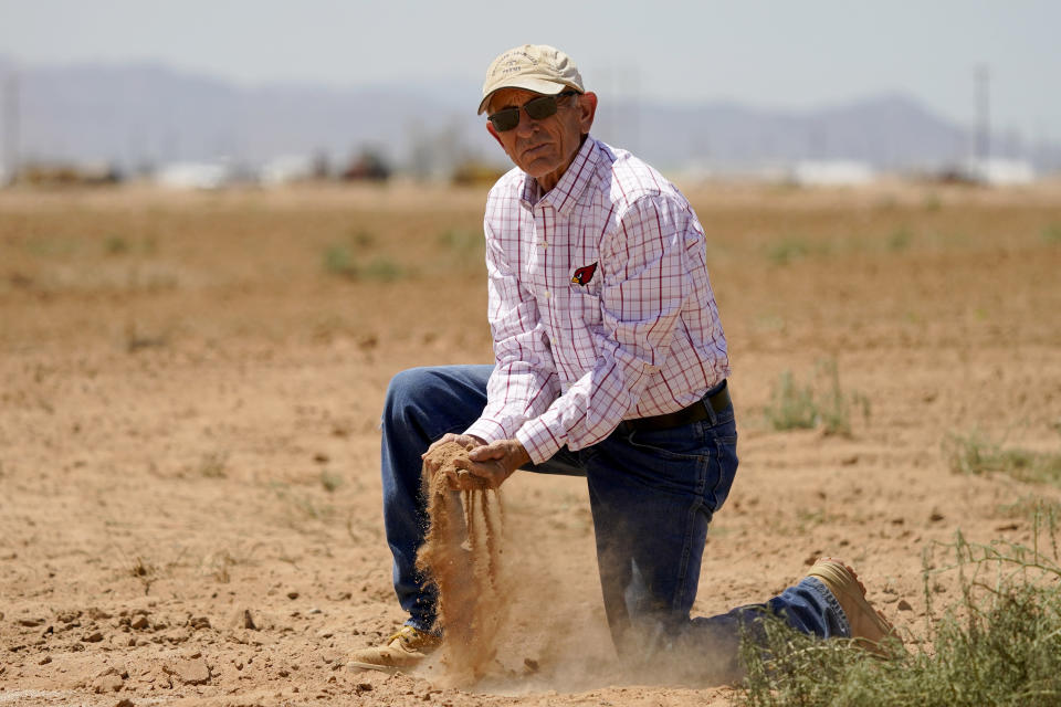 Kelly Anderson shows how dry one of his fields is, Thursday, Aug. 18, 2022, in Maricopa, Ariz. (AP Photo/Matt York)