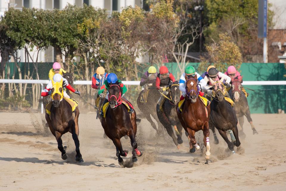 Horse Racing Japan