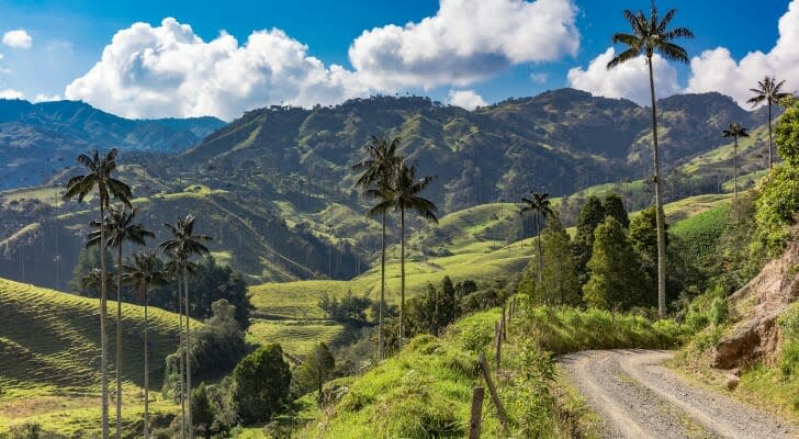 Bosque De Palma De Cera La Samaria near San Felix near Salamina Caldas in Colombia