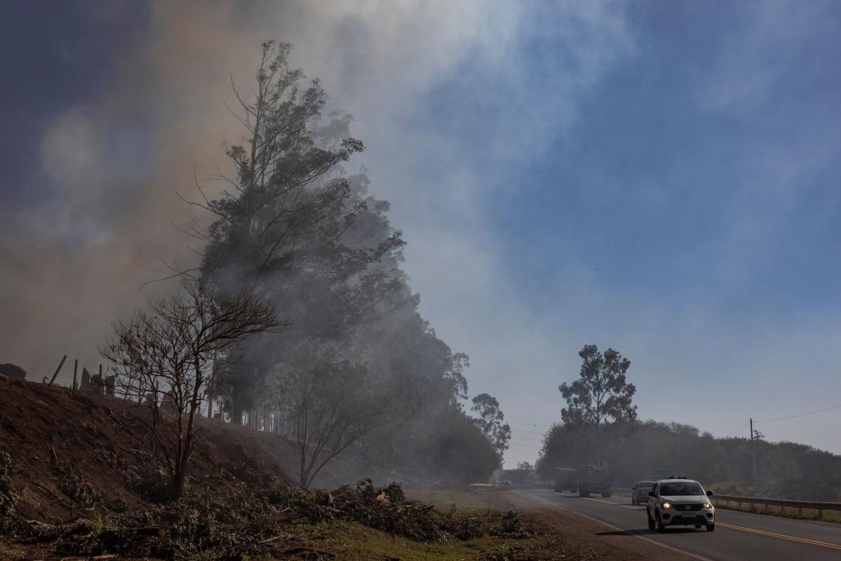 Amazon Jungle Fires Spew Toxic Smoke to Brazil’s Largest City