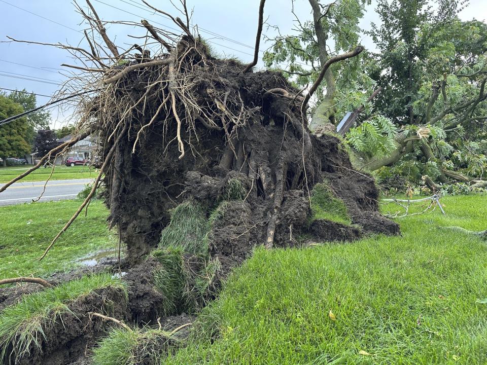 A tree is uprooted outside a home on Friday, Aug. 25, 2023, in Canton Township, Mich. A strong storm powered by winds of up to 75 mph (121 kph) in Michigan downed trees, tore roofs off buildings and left hundreds of thousands of customers without power. (AP Photo/Mike Householder)