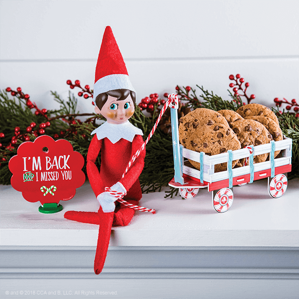 Surprise the Kids with These Adorable Elf on the Shelf Return Ideas