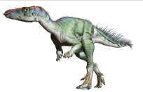 <p>El dinosaurio favorito de González es el Buitreraptor gonzalezorum. “Es un pequeño raptor que vivió en lo que hoy es Río Negro hace 100 millones de años. La especie fue descubierta por mí hermano Fabián y yo y por eso le dedicaron la especia a nuestra familia”, cuenta a Yahoo. A Kukso, una de las historias que más le gusta es la de “Gualicho”, un dinosaurio que dejó como corolario una detectivesca trama que implica el robo de fósiles por parte de científicos. Como tantas otras, es una de las que está contada en “Dinosaurios del fin del mundo”.<br>Dibujo de Jorge A. González </p>