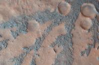 In this image from the High Resolution Imaging Science Experiment (HiRISE) camera on NASA's Mars Reconnaissance Orbiter, the dark branched features in the floor of Antoniadi Crater look like giant ferns, or fern casts. However, these ferns would be several miles in size and are composed of rough rocky materials.Image Credit: NASA/JPL-Caltech/University of Arizona