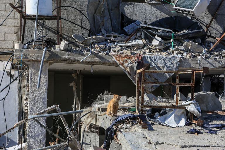 Destrucción en Rafah, en el sur de la Franja de Gaza. (Abed Rahim Khatib/dpa)