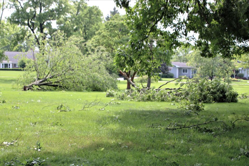 Fallen trees and limbs were a common sight on Tuesday, June 14, 2022, following the heavy storm that swept through Marion County on Monday night. Many local residents were busy cleaning up debris in their yards on Tuesday.