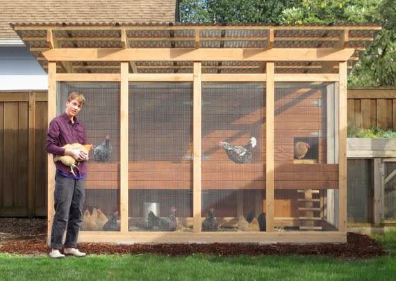 Walk-In Chicken Coop Plans