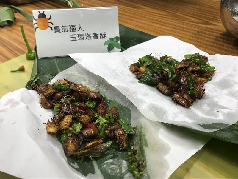 防治荔枝椿象  林業保育署鼓勵食用（2） 荔枝椿象危害荔枝、龍眼產業，林業及自然保育署嘉 義分署9日推出新的滅蟲方法，可把荔枝椿象入菜， 做成塔香酥椿象。 （林業及自然保育署提供） 中央社記者蔡智明傳真  113年4月9日 