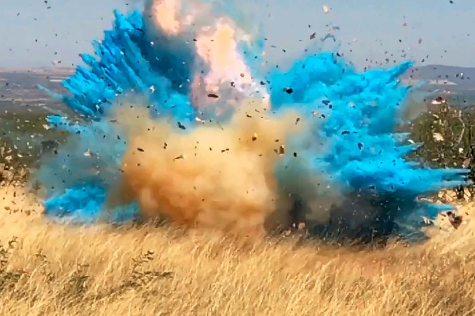 A similar gender-reveal event in 2017 ignited a 47,000-acre fire across Arizona (AP)