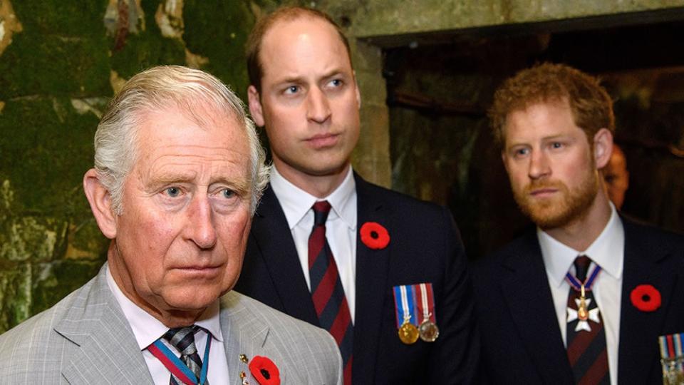 Prince Harry will not reunite with his father on his trip (Tim Rooke - Pool/Getty Images)