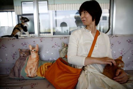 A passenger looks at a cat, in a train cat cafe, held on a local train to bring awareness to the culling of stray cats, in Ogaki, Gifu Prefecture, Japan September 10, 2017. REUTERS/Kim Kyung-Hoon