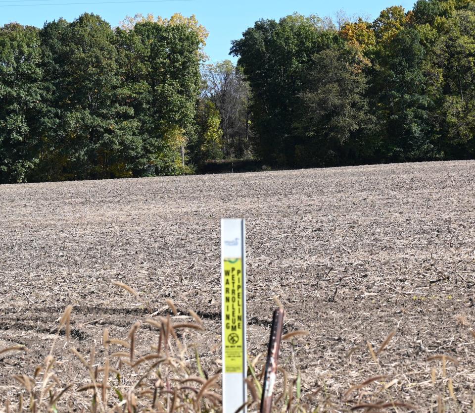 The route of the BP pipeline is visible from River Road. The October 17 rupture occurred on the other side of this woods.