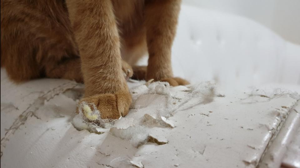 家具全被破壞無法使用。（示意圖／shutterstock達志影像）