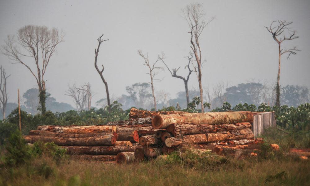 <span>Photograph: Michael Dantas/AFP/Getty Images</span>