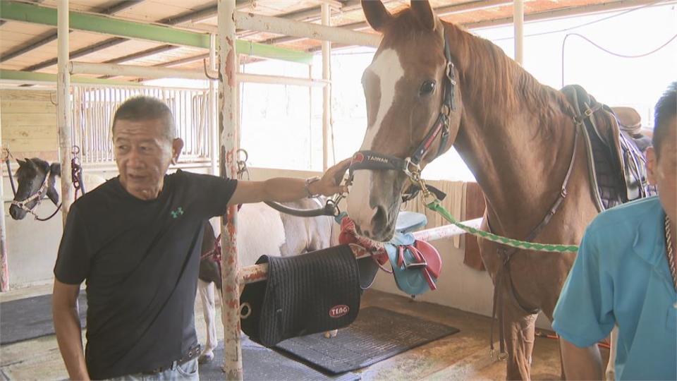 左營廟會遶境 白馬突「甩頭」 牽馬男子濺血送醫