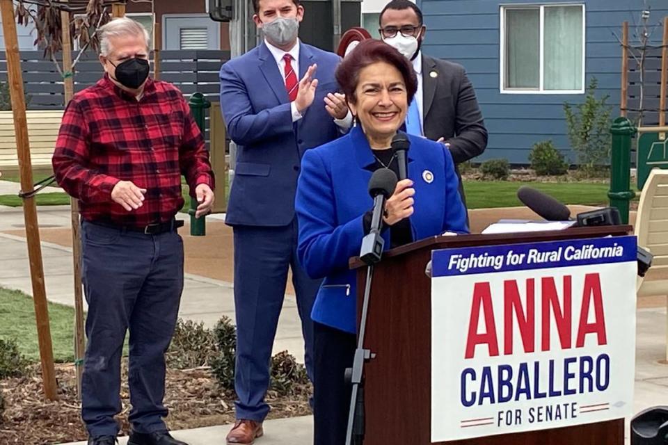 State Sen. Anna Caballero, D-Merced, said officially Friday, Jan. 21, 2021, she will run in the newly drawn 14th District while speaking at The Link near Blackstone and McKinley avenues in Fresno. 