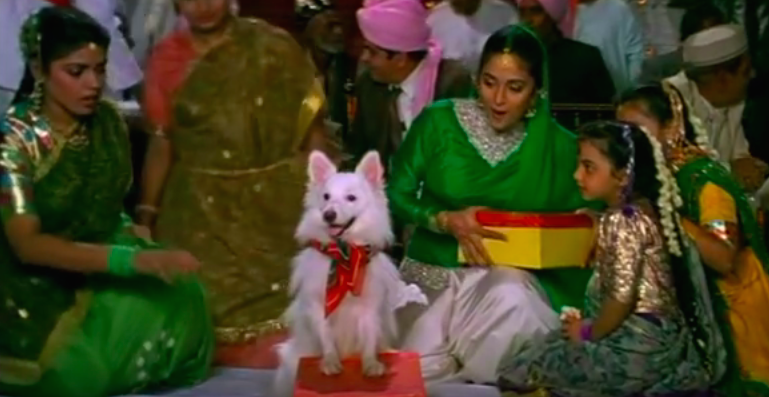 10. Tuffy in Hum Aapke Hain Koun! (1994)