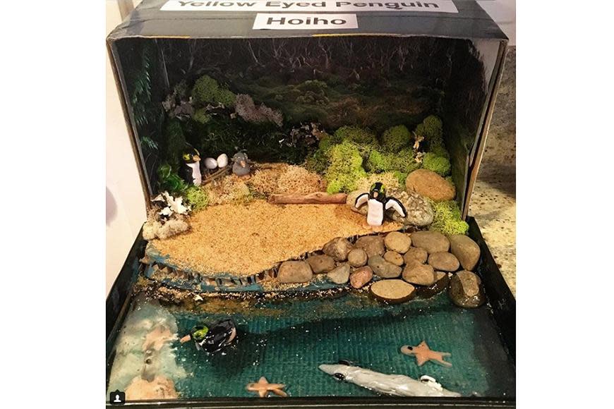 Shoe-box dioramas