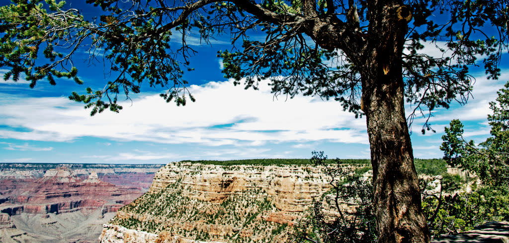 The National Park Service has reversed a ban on the sale of plastic water bottles, and something seems fishy