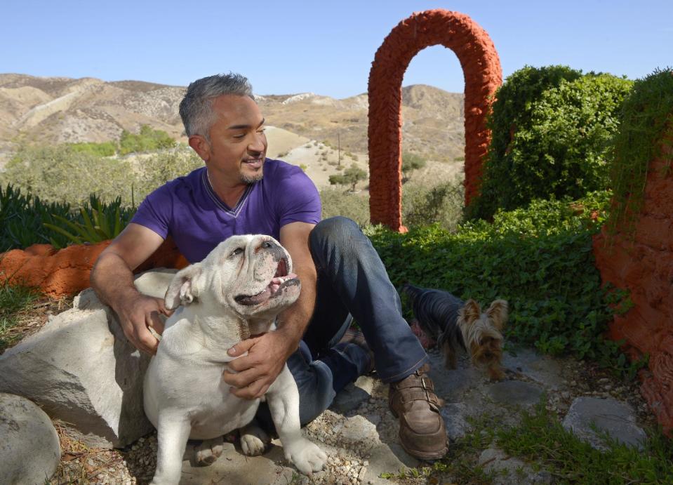 In this Oct. 18, 2012 photo, Cesar Millan poses with his English Bull Dog George, left, and an unidentified dog at his Dog Psychology Center, in Santa Clarita, Calif. Millan's seventh book, "A Short Guide to a Happy Dog" is due out Jan. 1, 2013. On Jan. 5, Nat Geo Wild will premiere "Leader of the Pack," a new series with a goal to increase pet rescue, rehabilitation and rehoming around the world. (AP Photo/Mark J. Terrill)