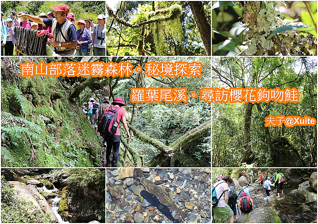 5089514050595247568990-1.jpg - 宜蘭南山部落迷霧森林 2018/07/28