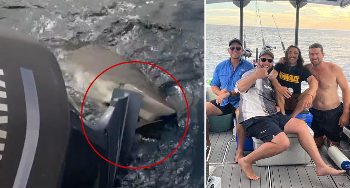 Incredible moment monster shark sinks its teeth into fishing