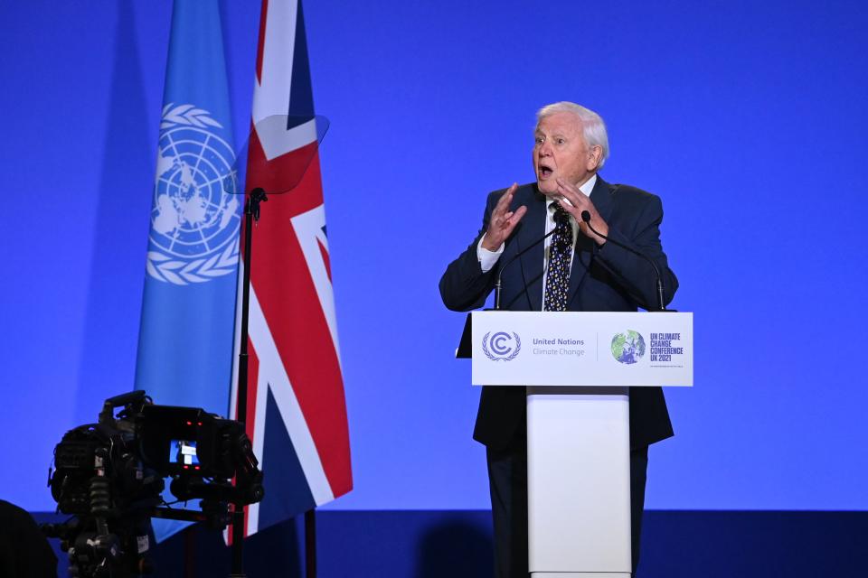 Sir David Attenborough speaks during the opening ceremony of the UN Climate Change Conference Cop26 (Getty Images)