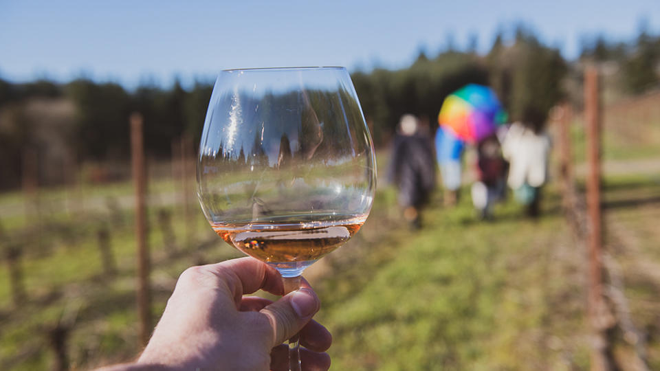 Cheers will definitely be in order at the Queer Wine Fest. - Credit: Zachary Alan Photography
