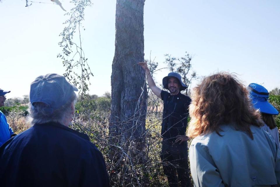 Naturalist Elliot Prout describes the beneficial role of longleaf pines in Florida ecosystems during a tour of Duette Preserve sponsored by the Manatee Fish & Game Association on Feb. 10, 2024. 