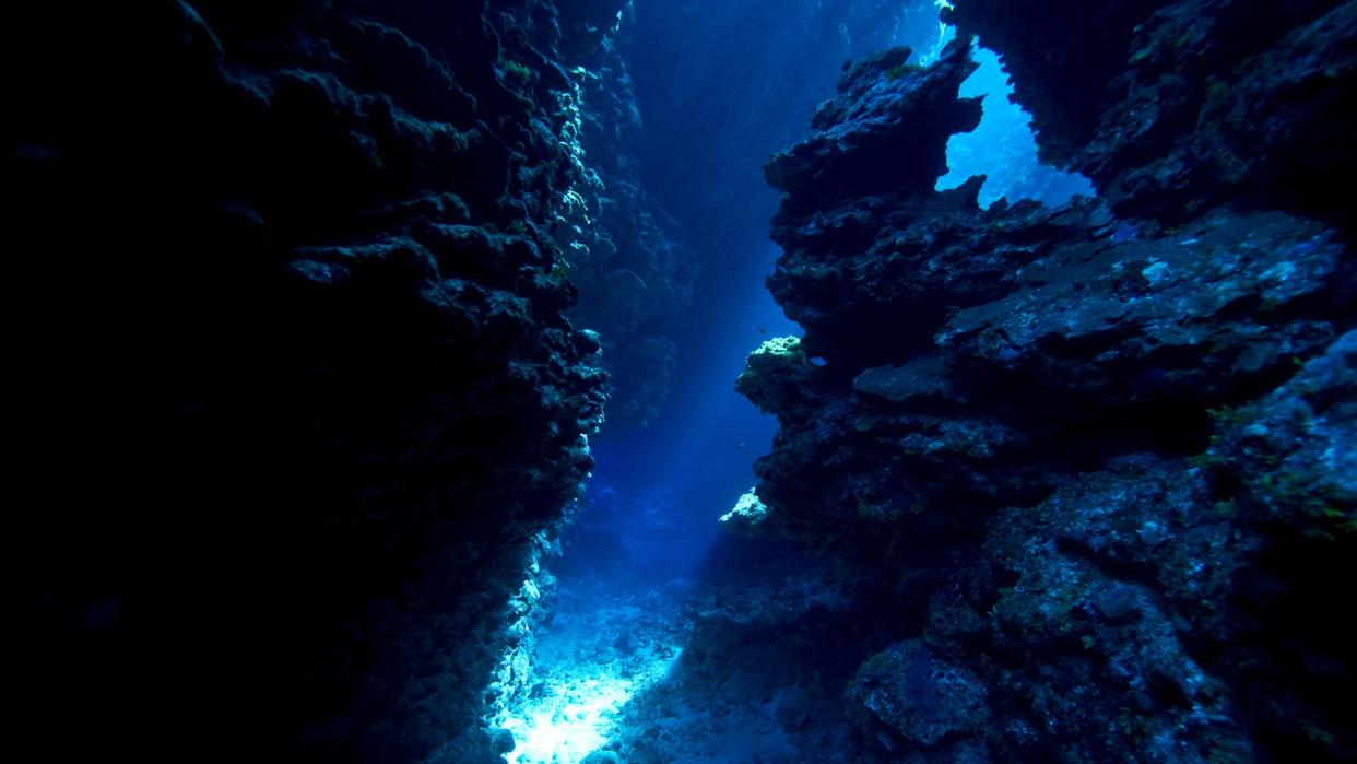  An underwater cave leading to a canyon. 