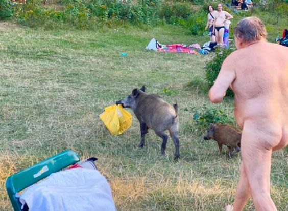 Amused sunbathers look on as the man gives chase (Adele Landauer)