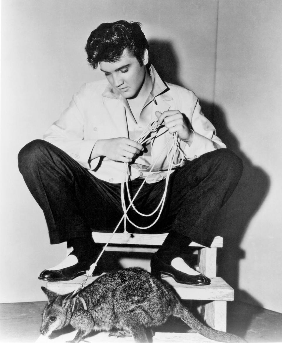 1957: Elvis and His Wallaby