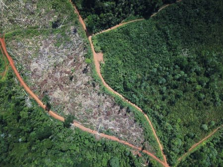 An aerial view shows illegal deforestation at Esperanca PDS, a Sustainable Settlement Project, in Anapu