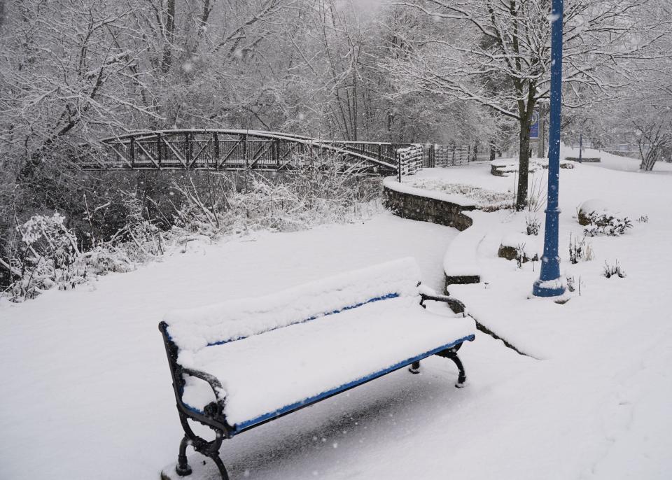 Trestle Park in Adrian was covered with wet snow Wednesday, Jan. 25, 2023, as a winter storm moved through Lenawee County and southeastern Michigan.