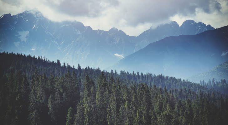 picture of a forest with mountains in the distance