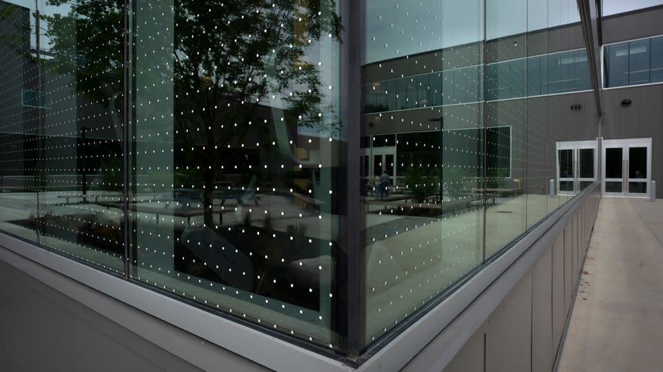 A laminate of dots applied to many of the windows at the L.L. Bean headquarters in Freeport, Maine. - Gregory Rec/Portland Press Herald/Getty Images