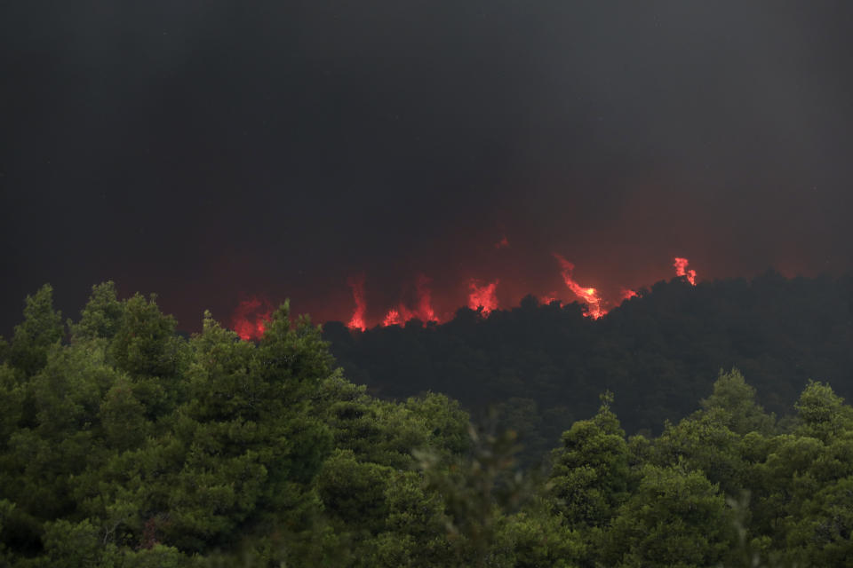 Flames rise from a forest fire near Psachna village on the island of Evia, northeast of Athens, Tuesday, Aug. 13, 2019. Dozens of firefighters backed by water-dropping aircraft are battling a wildfire on the island that has left the Greek capital blanketed in smoke. (AP Photo/Yorgos Karahalis)