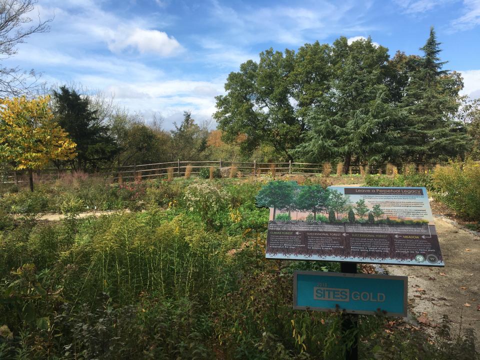 The green burial (natural burial) section of a cemetery is pictured. In traditional burials, caskets are often buried within a concrete vault. But for green burials, there is no such lining and bodies are placed in biodegradable containers to be able to naturally decompose into the earth.