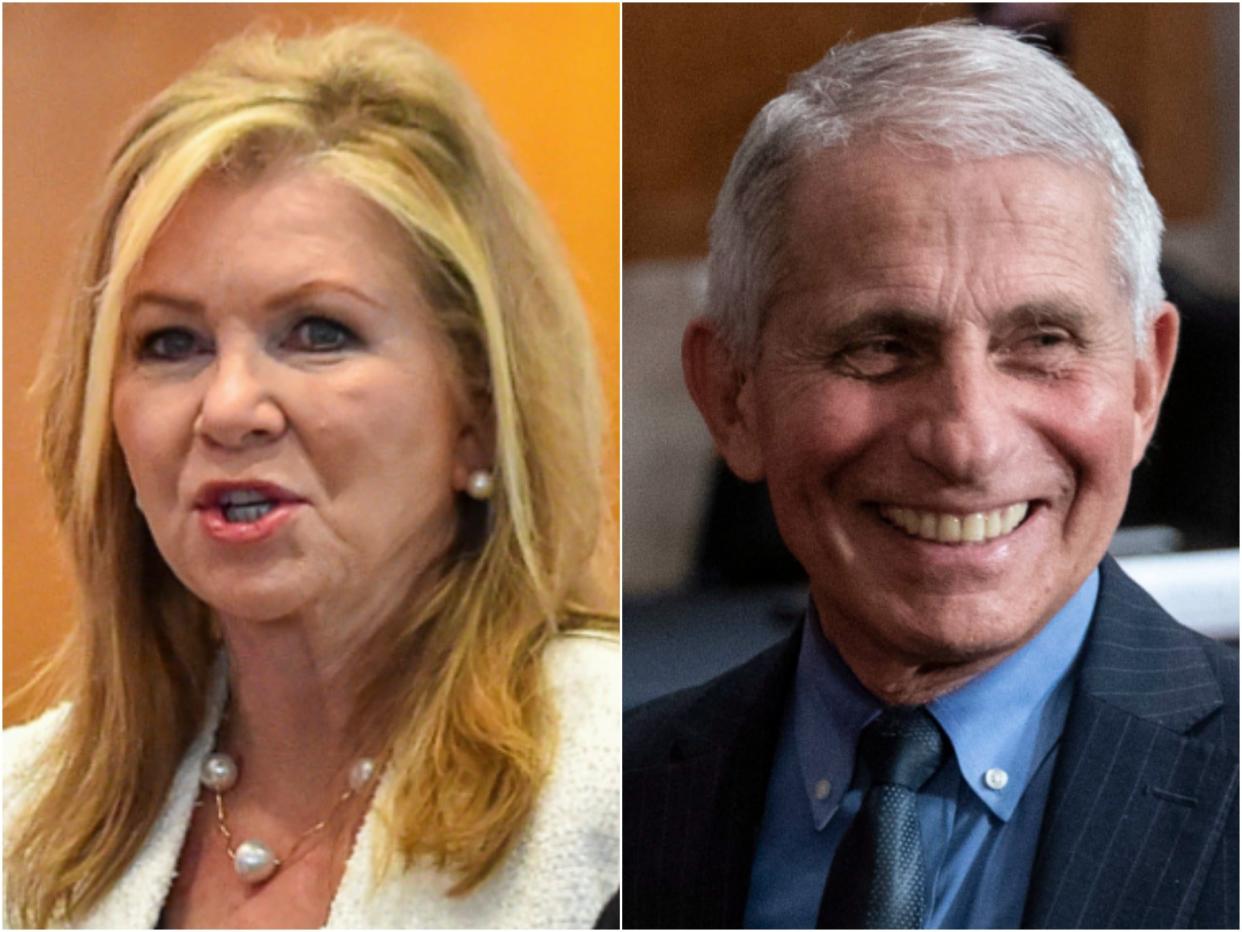 <p>Marsha Blackburn slammed Dr Anthony Fauci for producing a book during the pandemic, despite having recently published one herself. </p> (Reuters/EPA)