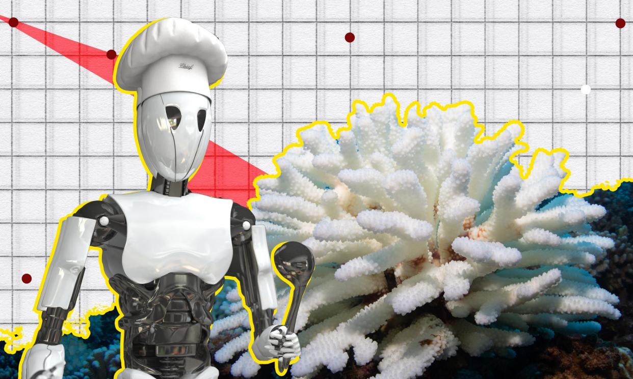 <span>This week’s Crunch newsletter features a robot chef and a map that explores climate tipping points.</span><span>Illustration: Guardian Design/Composite: Getty</span>