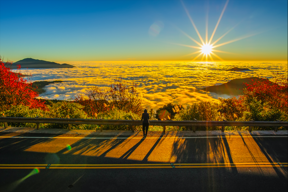 阿里山日出。（圖／取自Shutterstock)