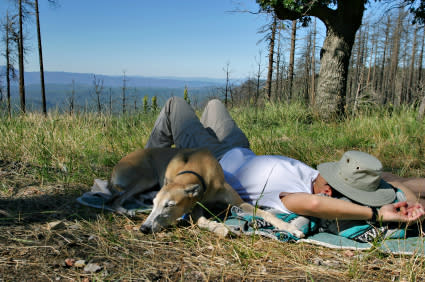 Frog Lake Campground - Parkdale, OR