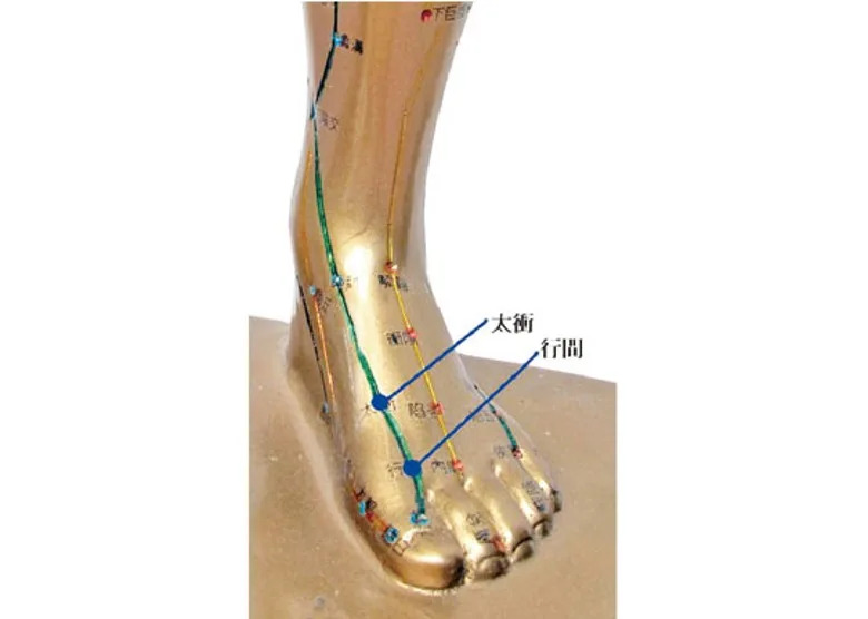 月經失調 按穴疏洩躁鬱  常見婦科病