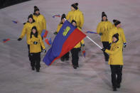 <p>Marco Pfiffner carries the flag of Liechtenstein during the opening ceremony of the 2018 Winter Olympics in Pyeongchang, South Korea, Friday, Feb. 9, 2018. (AP Photo/Michael Sohn) </p>
