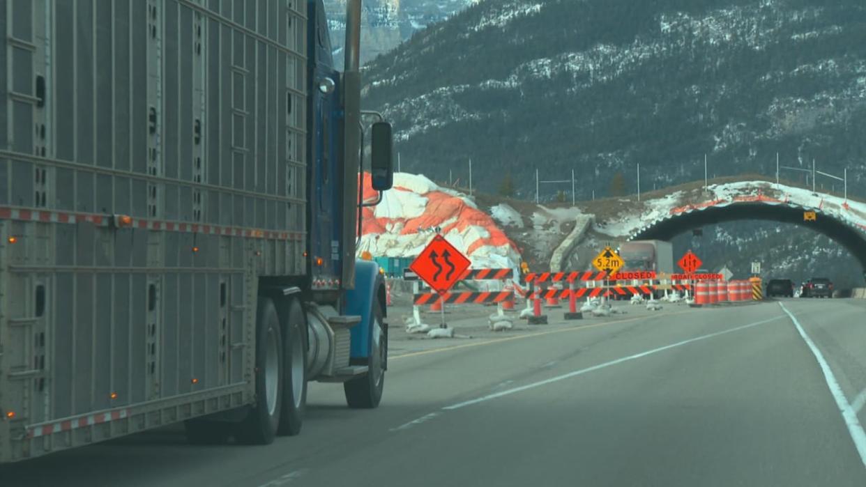 The overpass was originally slated to open fall 2023.  (Helen Pike/CBC - image credit)