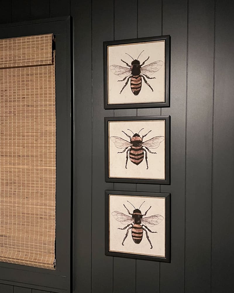 Bee prints on black walls in child's room.