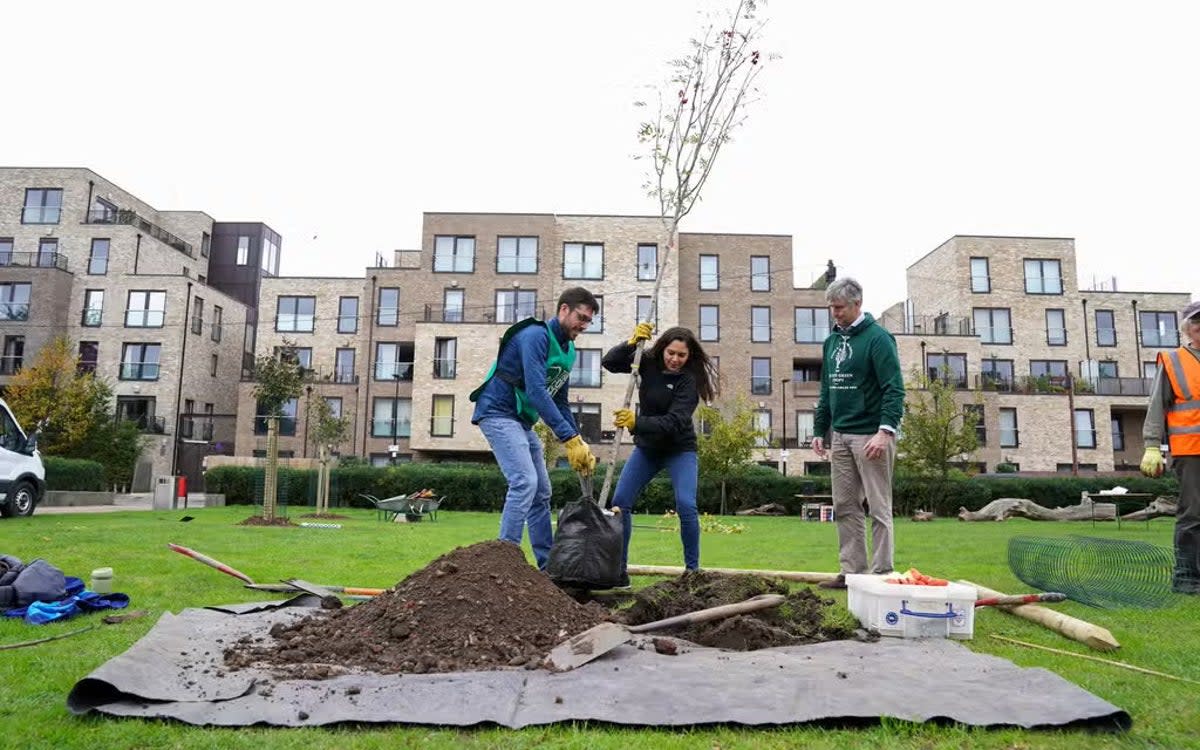 VOLUNTEERS HELP PLANT A TREE AT FURZE GREEN IN TOWER HAMLETS (KIRSTY O’CONNOR/PA) (PA)