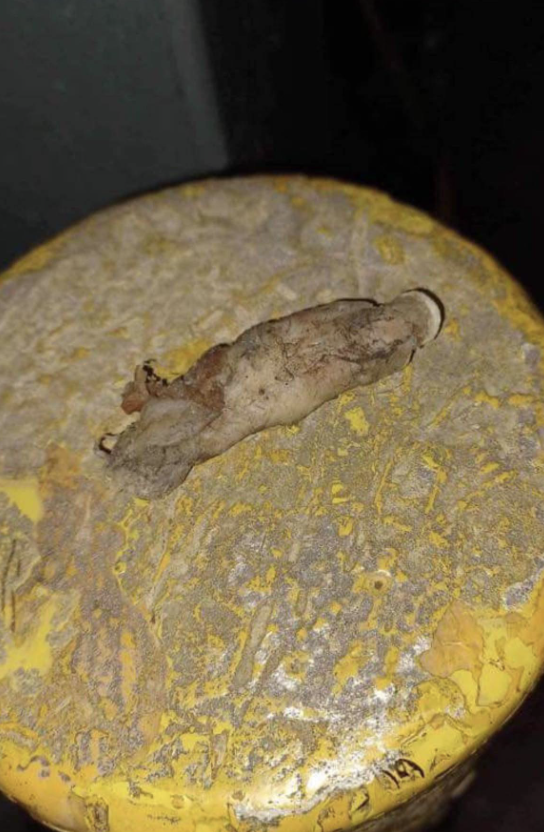 Leaf on a textured, worn yellow surface