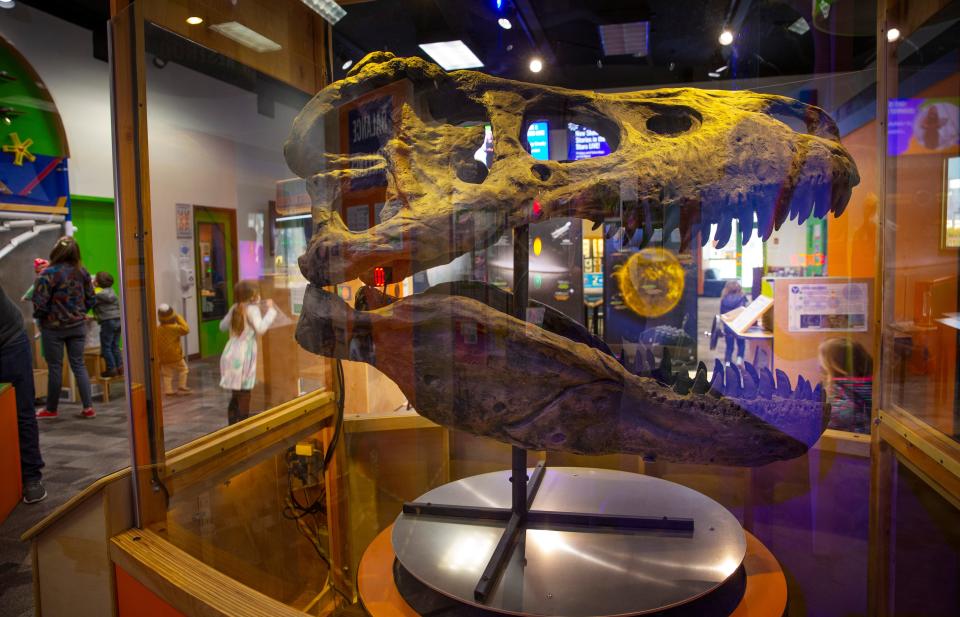 The Eugene Science Center offers a variety of exhibits to explore, including this life-sized T-rex skull.