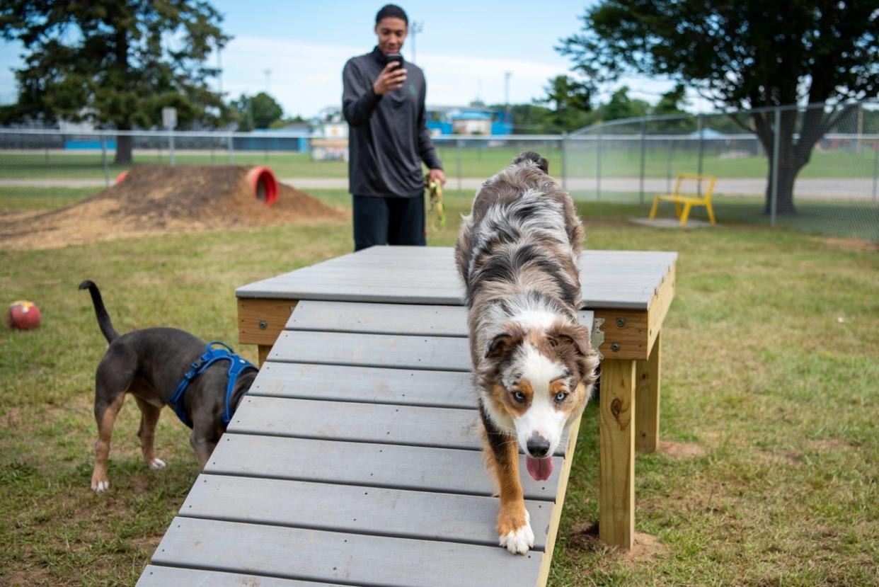 Mafiaion Joyner with his dogs Oakley and Mellow at the  Home Run Dog Park on Saturday, Aug. 31, 2019, in Battle Creek.